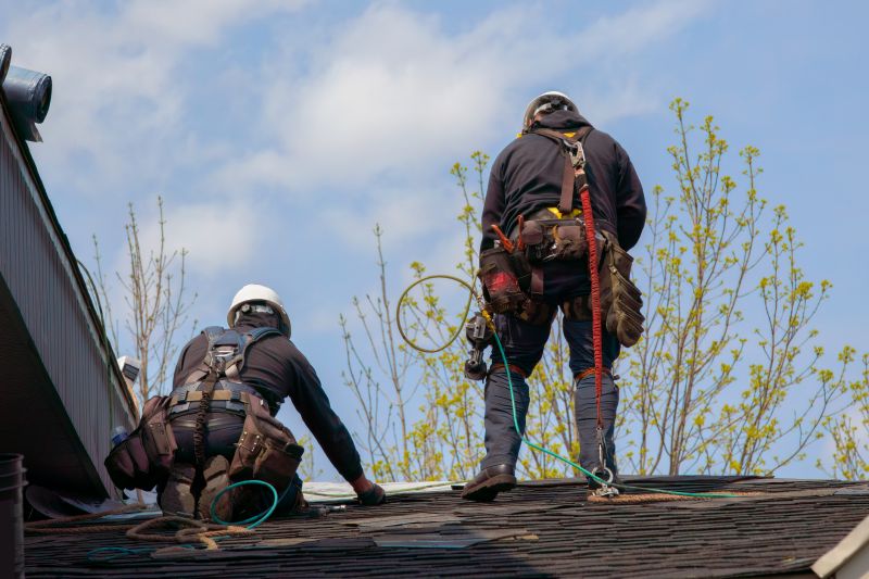 Professional Roof Repair in Action